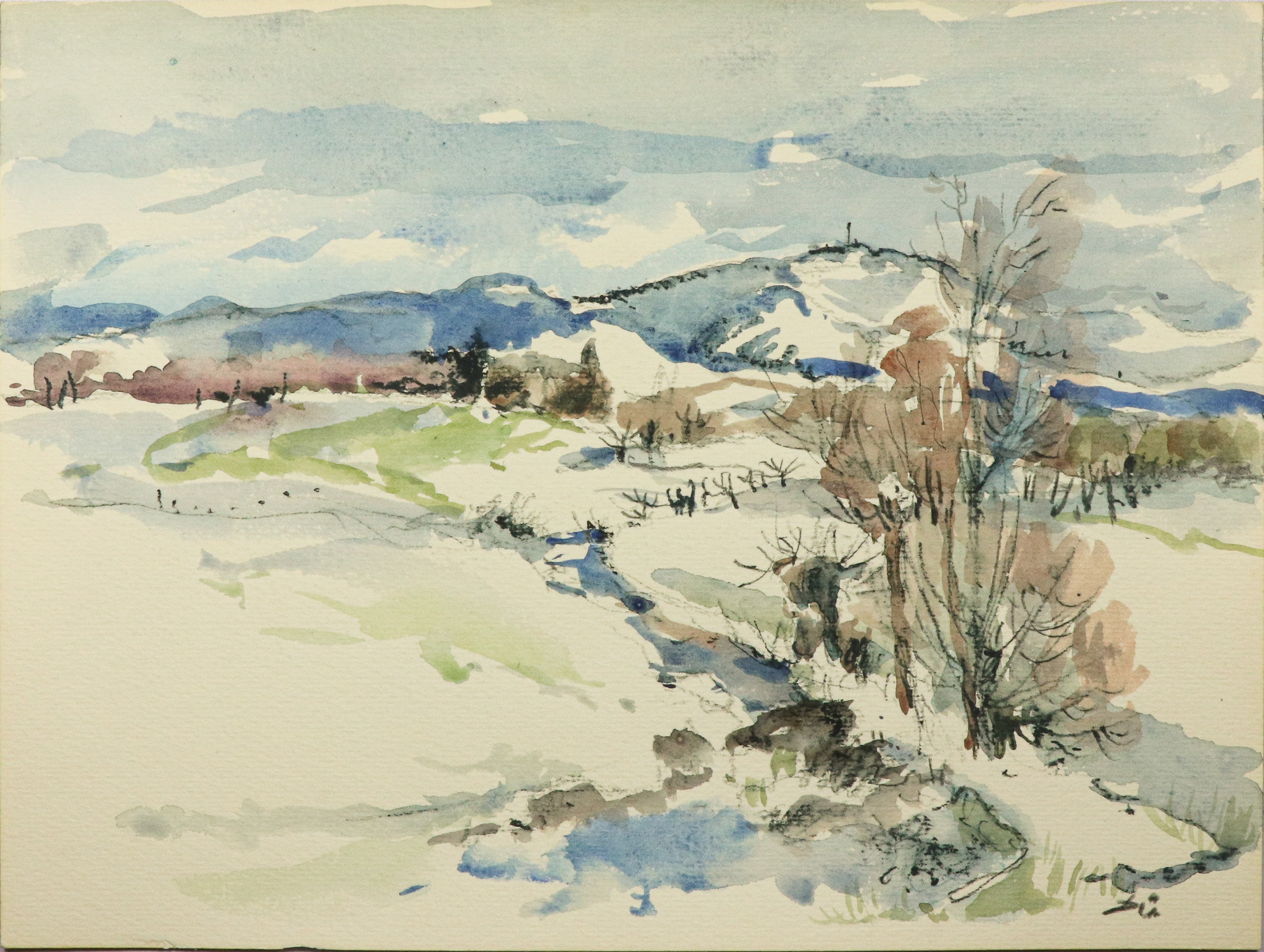 Wiesengrund im Winter